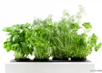 Best Hydroponics Systems: 7 Awesome Indoor Gardens