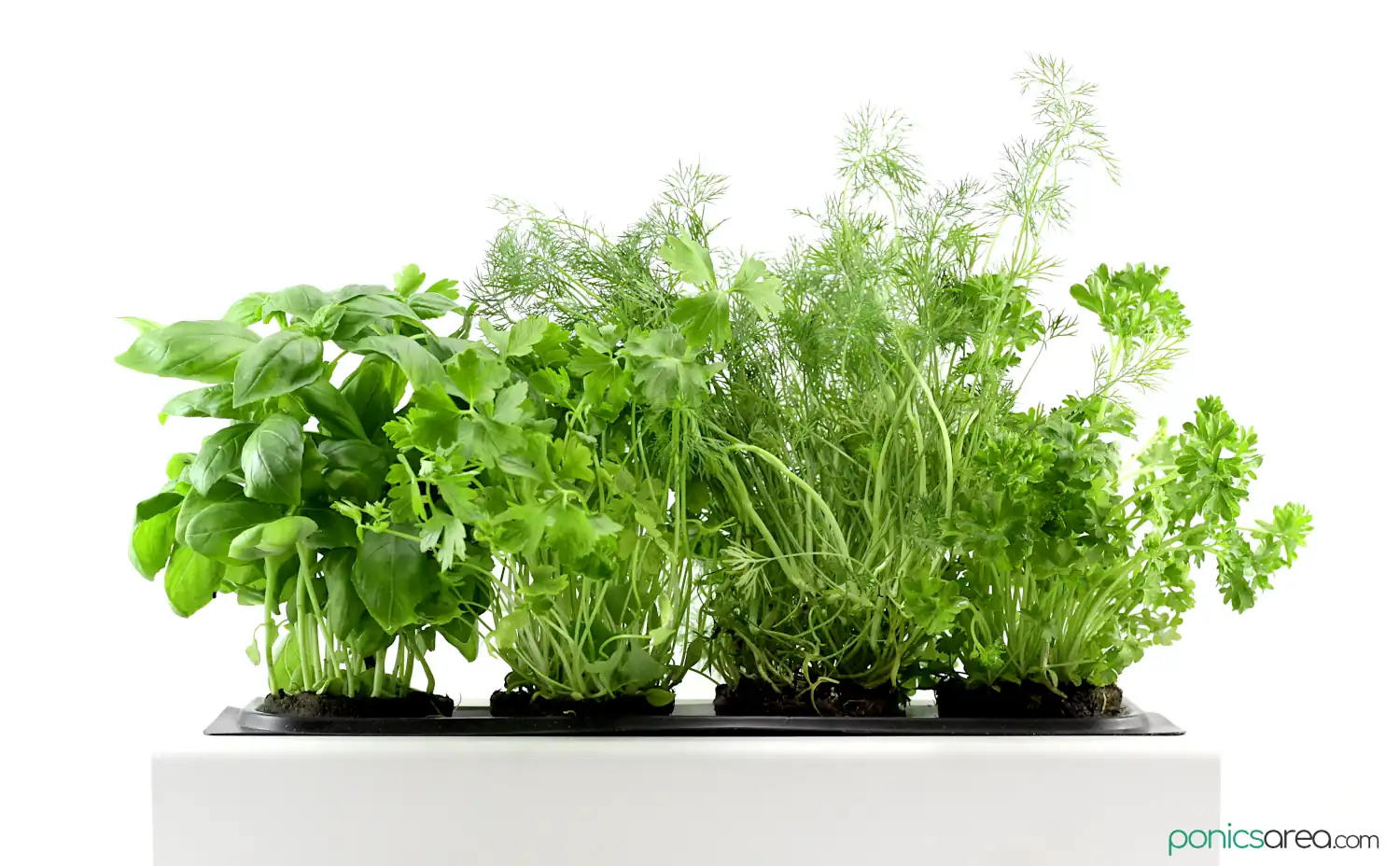 best hydroponic systems