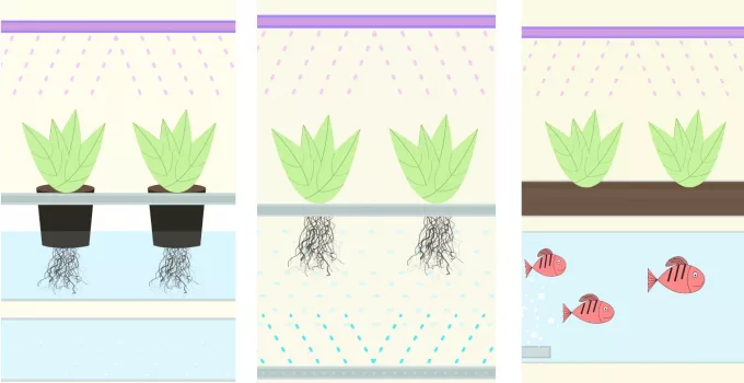 hydroponics vs aeroponics vs aquaponics