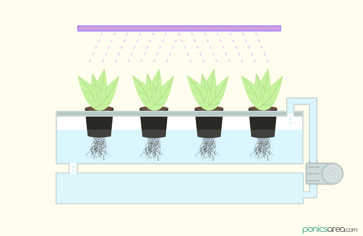 hydroponics illustration