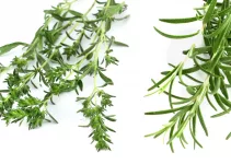 Thyme vs Rosemary: 2 Strong Herbs with Bold Flavors