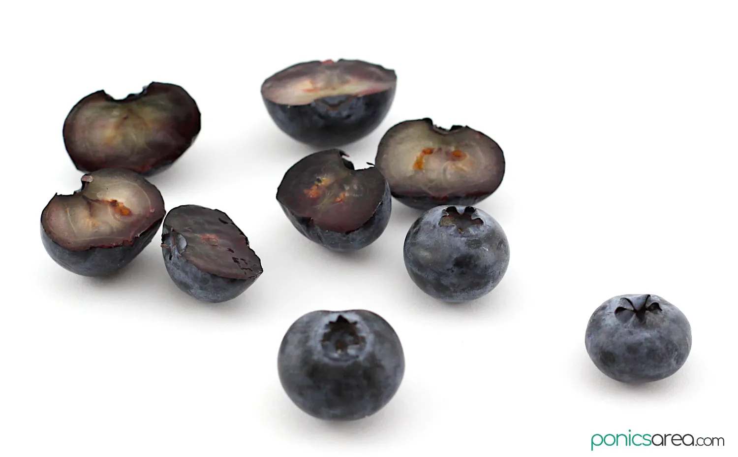 blueberries cut in half