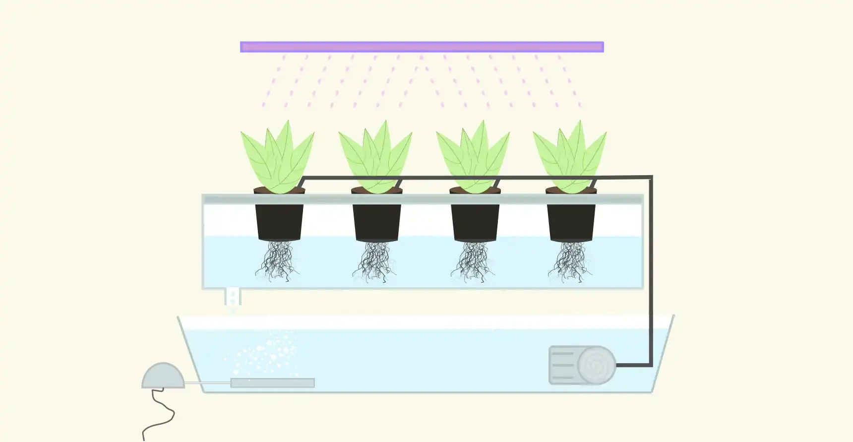 Hydroponic Drip System Explained Components Pros And Cons