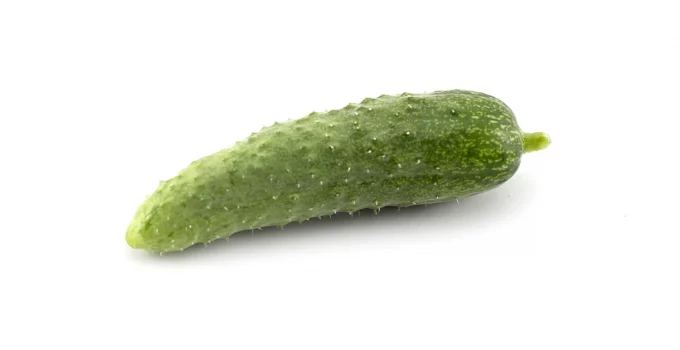 white cucumber