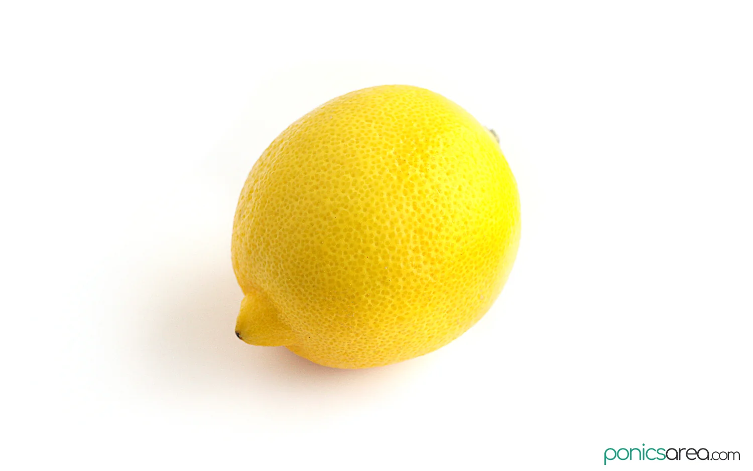 lemon is a fruit