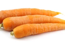 Is Carrot a Fruit or Vegetable? (A Guide on This Versatile Vegetable)
