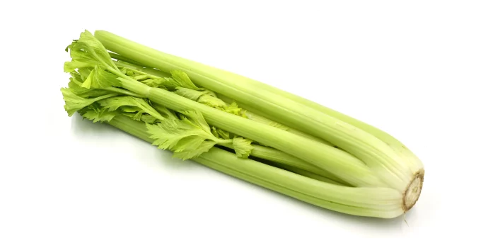 is celery a fruit or a vegetable