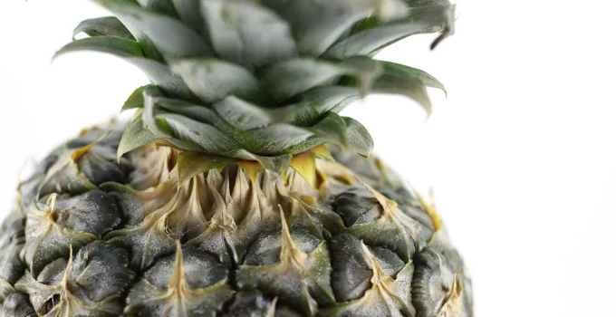 in how much time does a pineapple grow