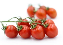 3 Best AeroGarden for Growing Tomatoes