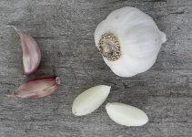 What Is a Garlic Clove? How to Grow Garlic At Home (Quick Guide)