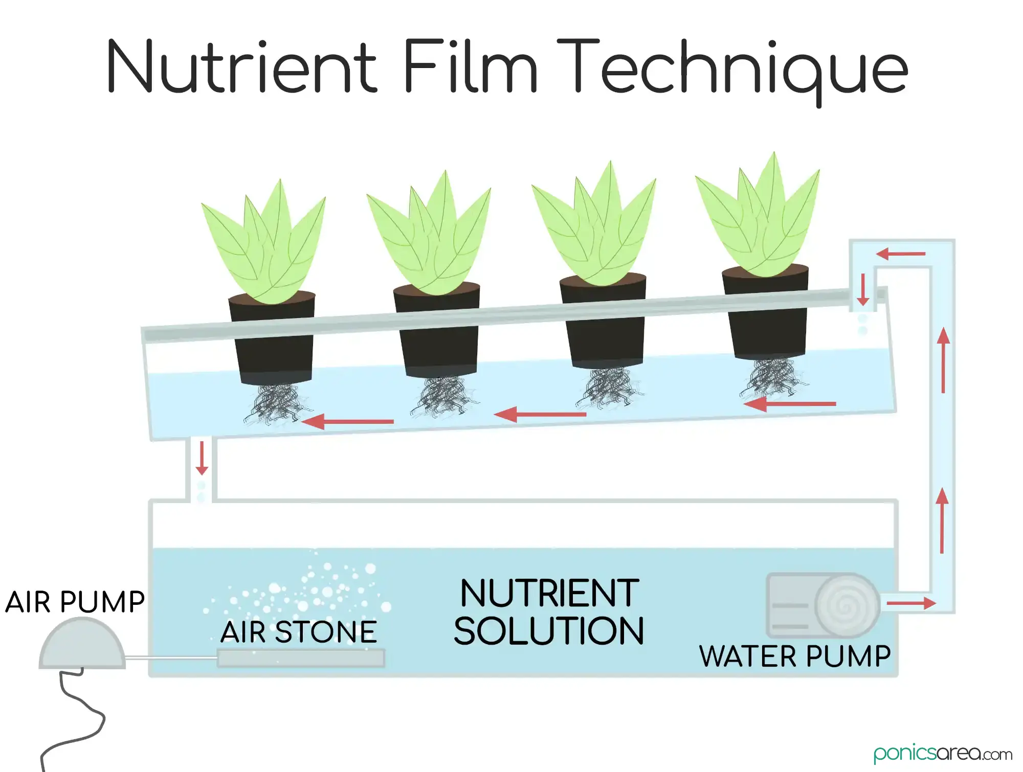 illustration of nutrient film technique system in hydroponics