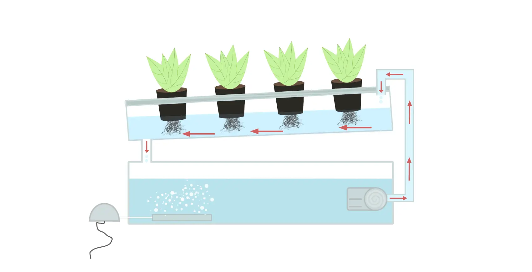 Nutrient Film Technique Hydroponic System Nft In Depth Guide 6664