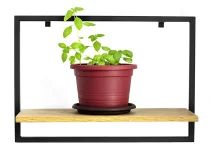 Best Shelves for Plants: Indoor & Outdoor Stands for Plants