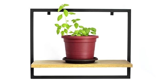 Best Shelves for Plants: Indoor & Outdoor Stands for Plants